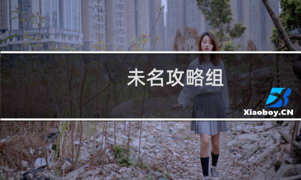 未名攻略组