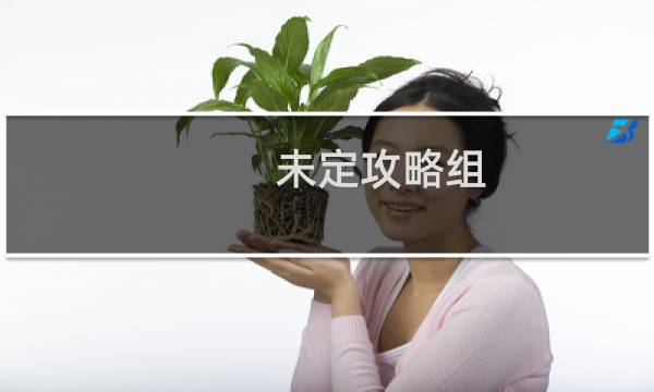 未定攻略组