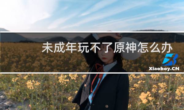 未成年玩不了原神怎么办