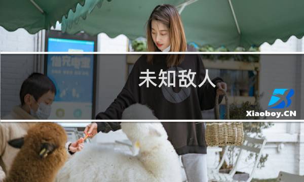 未知敌人 攻略