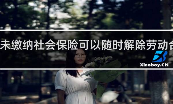 未缴纳社会保险可以随时解除劳动合同吗