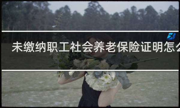 未缴纳职工社会养老保险证明怎么开