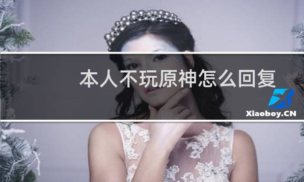 本人不玩原神怎么回复