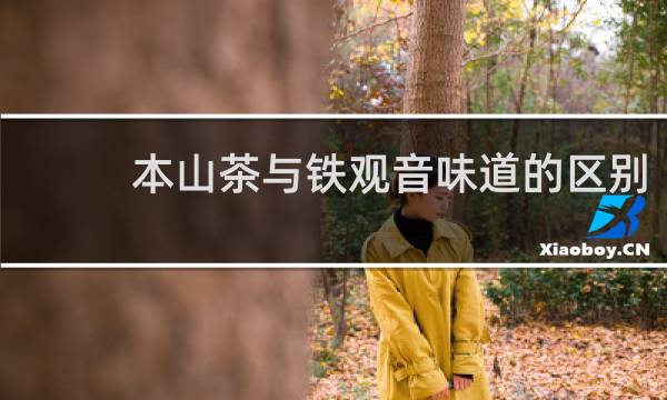 本山茶与铁观音味道的区别