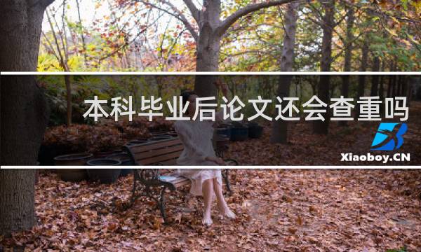 本科毕业后论文还会查重吗