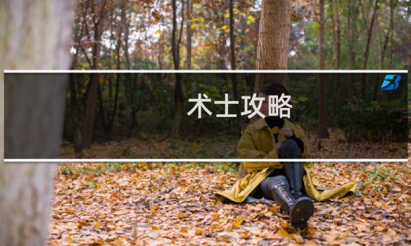 术士攻略