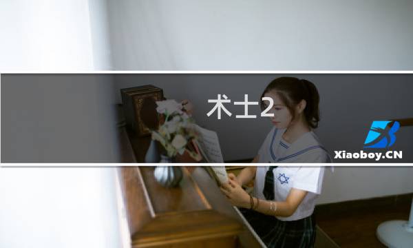 术士2 攻略