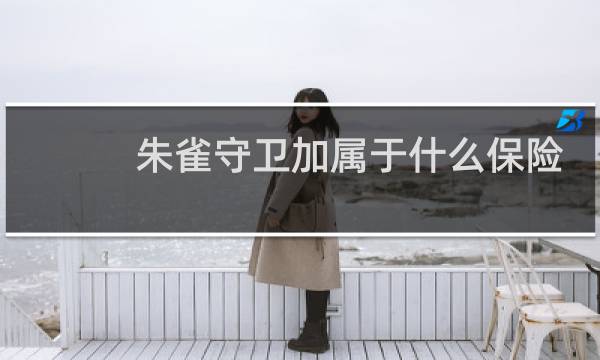 朱雀守卫加属于什么保险