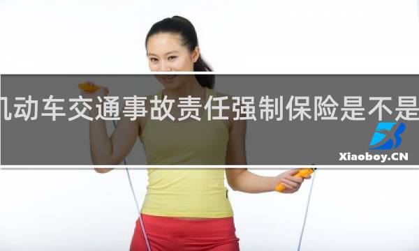 机动车交通事故责任强制保险是不是交强险