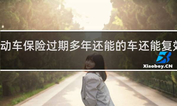 机动车保险过期多年还能的车还能复效使用吗
