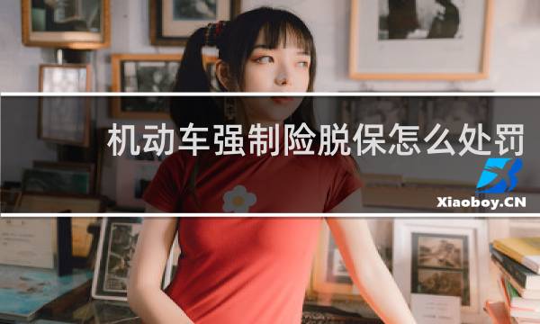 机动车强制险脱保怎么处罚