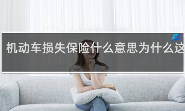 机动车损失保险什么意思为什么这么贵