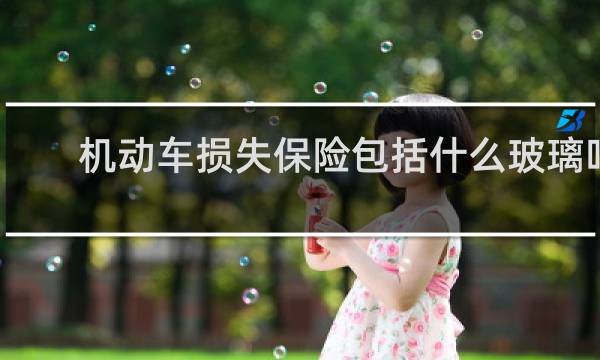 机动车损失保险包括什么玻璃吗