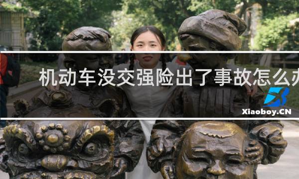 机动车没交强险出了事故怎么办