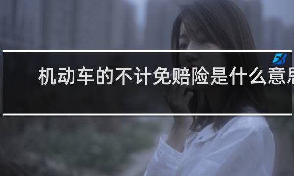 机动车的不计免赔险是什么意思