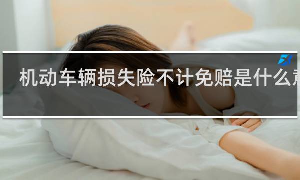 机动车辆损失险不计免赔是什么意思
