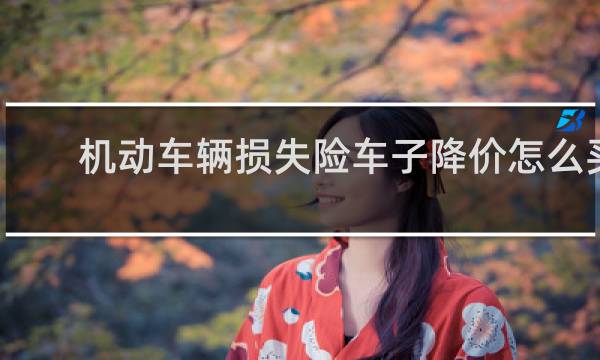 机动车辆损失险车子降价怎么买