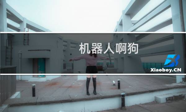 机器人啊狗