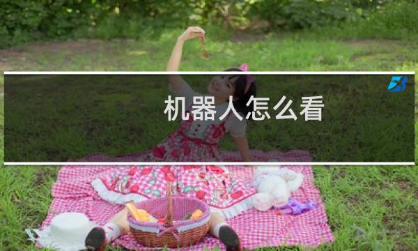 机器人怎么看