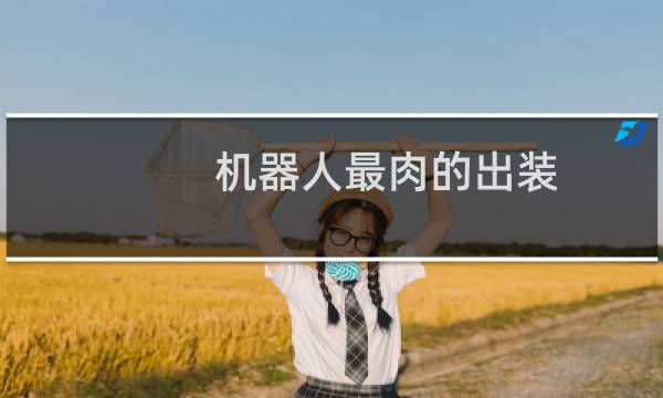 机器人最肉的出装