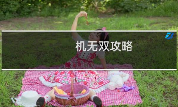 机无双攻略