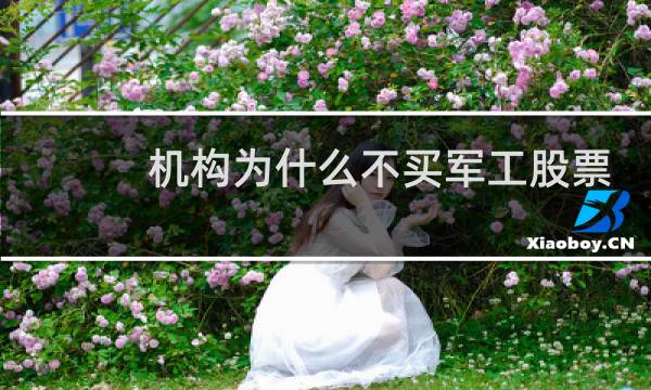 机构为什么不买军工股票