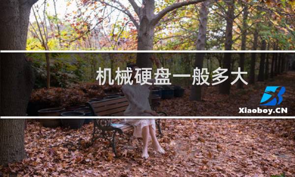 机械硬盘一般多大