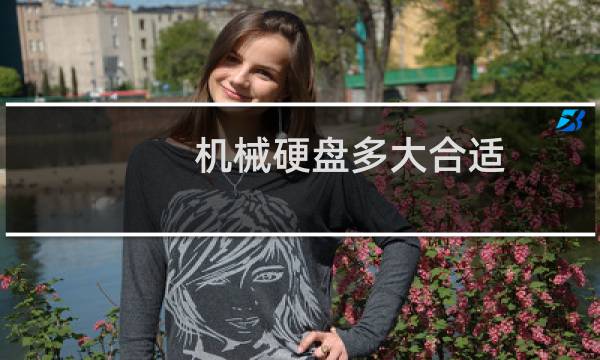 机械硬盘多大合适