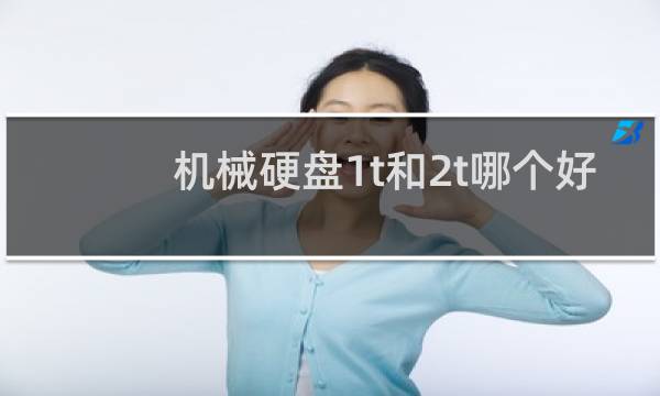 机械硬盘1t和2t哪个好