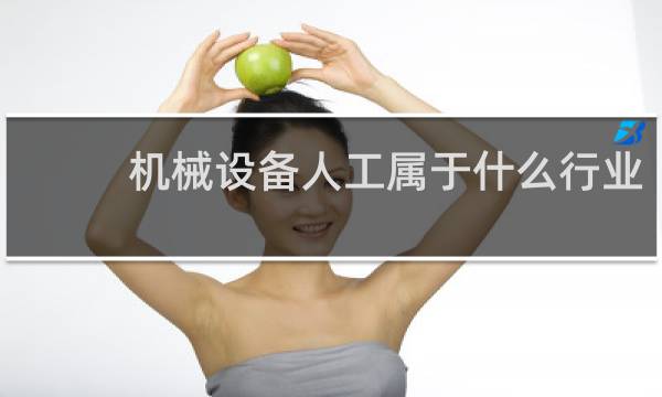 机械设备人工属于什么行业