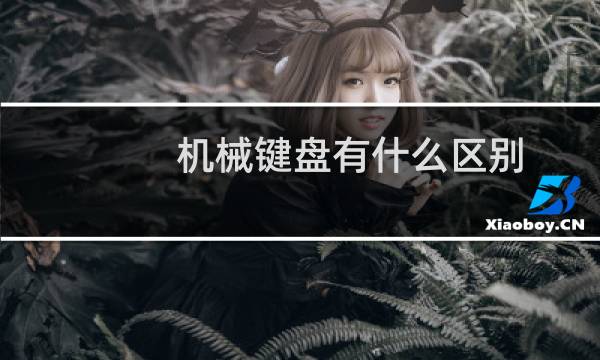 机械键盘有什么区别