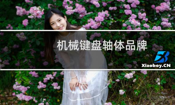 机械键盘轴体品牌