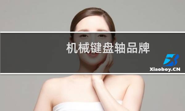 机械键盘轴品牌