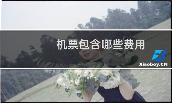 机票包含哪些费用