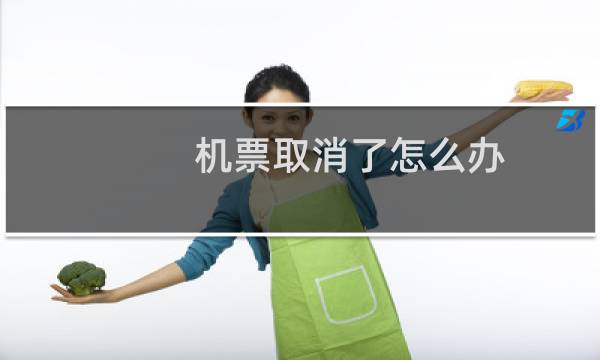 机票取消了怎么办
