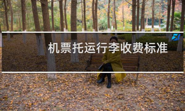 机票托运行李收费标准