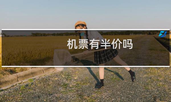机票有半价吗