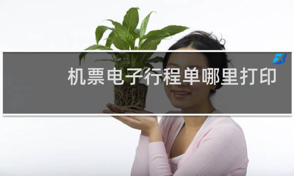 机票电子行程单哪里打印
