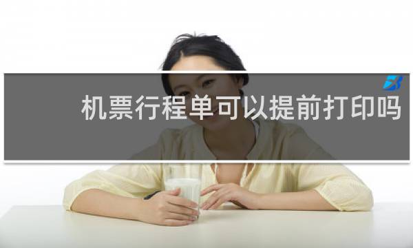 机票行程单可以提前打印吗