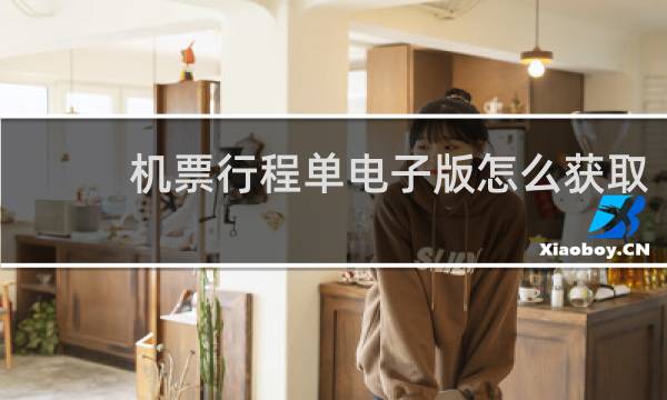 机票行程单电子版怎么获取