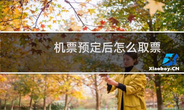 机票预定后怎么取票