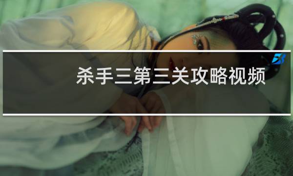 杀手三第三关攻略视频