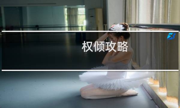 權(quán)傾攻略