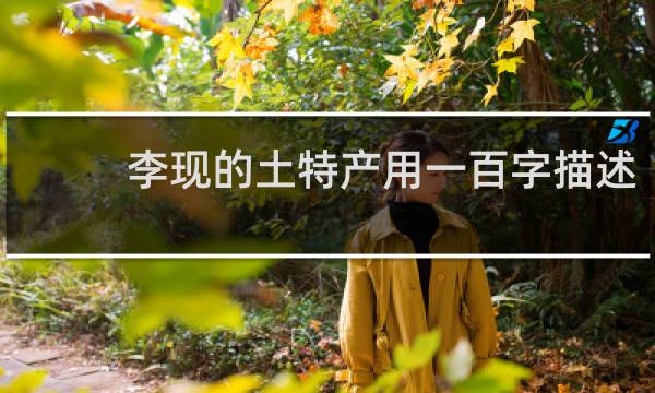 李现的土特产用一百字描述