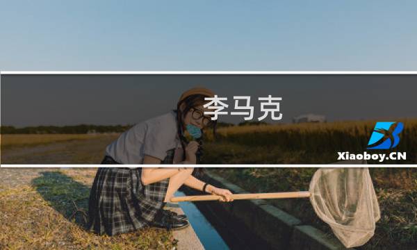 李马克 星座