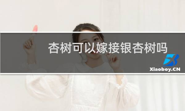 杏树可以嫁接银杏树吗