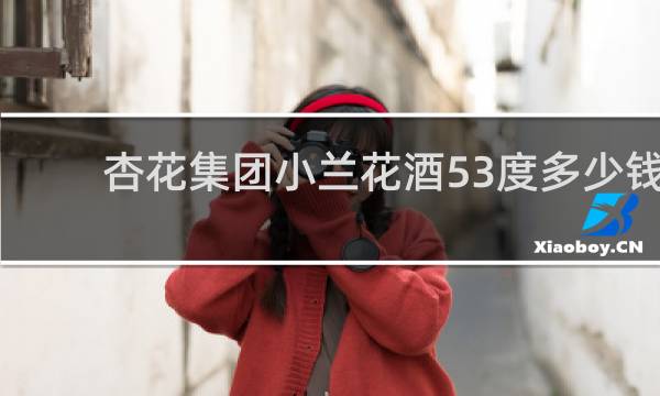 杏花集团小兰花酒53度多少钱