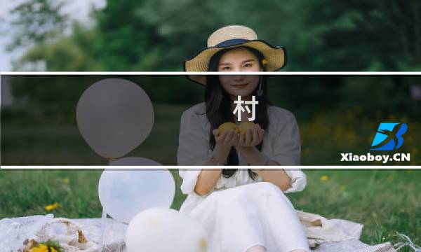 村  攻略