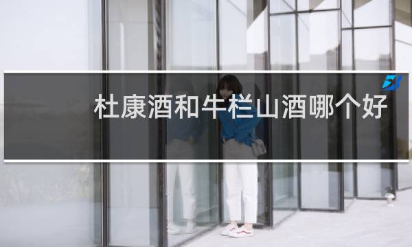 杜康酒和牛栏山酒哪个好