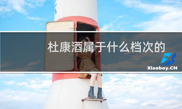 杜康酒属于什么档次的
